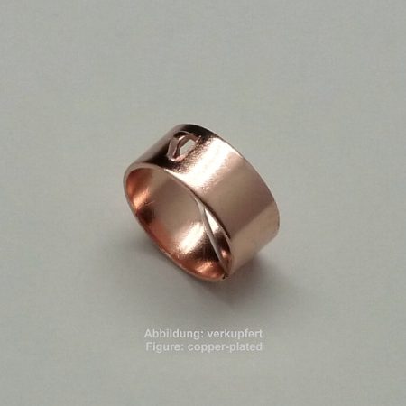Ringschiene zum Einhängen - zum Einhängen -