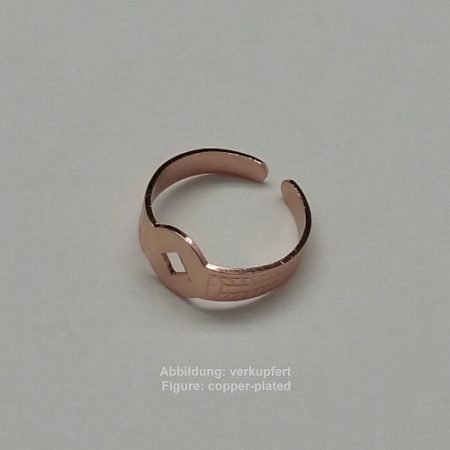Ringschiene zum Nieten - zum Nieten -